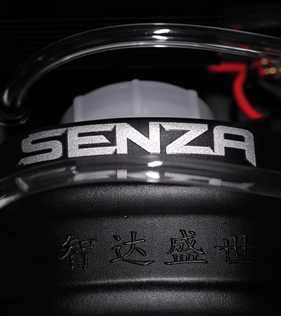 SENZA
