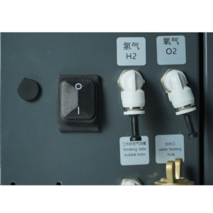 Switch